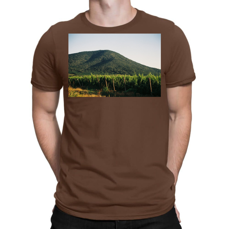 Hill With The Vineyard  Classic  Summer Green T-shirt | Artistshot