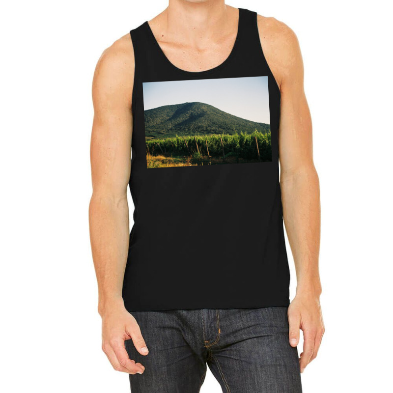 Hill With The Vineyard  Classic  Summer Green Tank Top | Artistshot