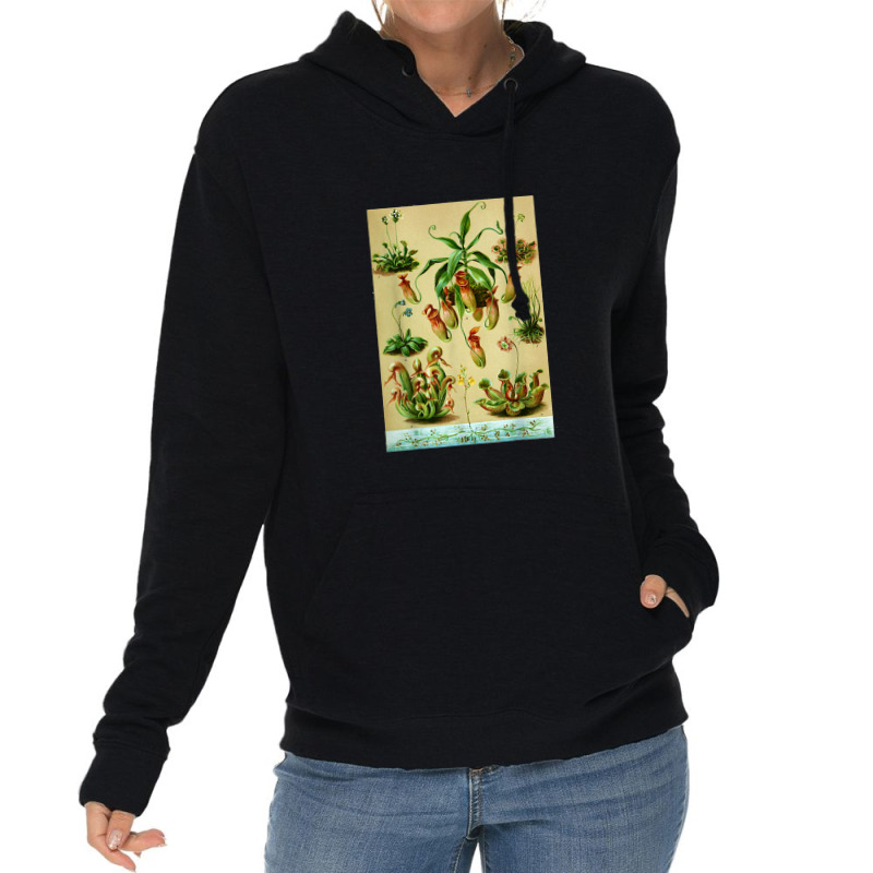 Vintage Carnivorous Plants Sarracenia Botanical Lightweight Hoodie | Artistshot