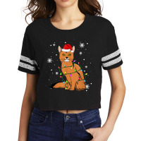 Somali Cat Christmas Lights Christmas Cat Santa Hat Scorecard Crop Tee | Artistshot