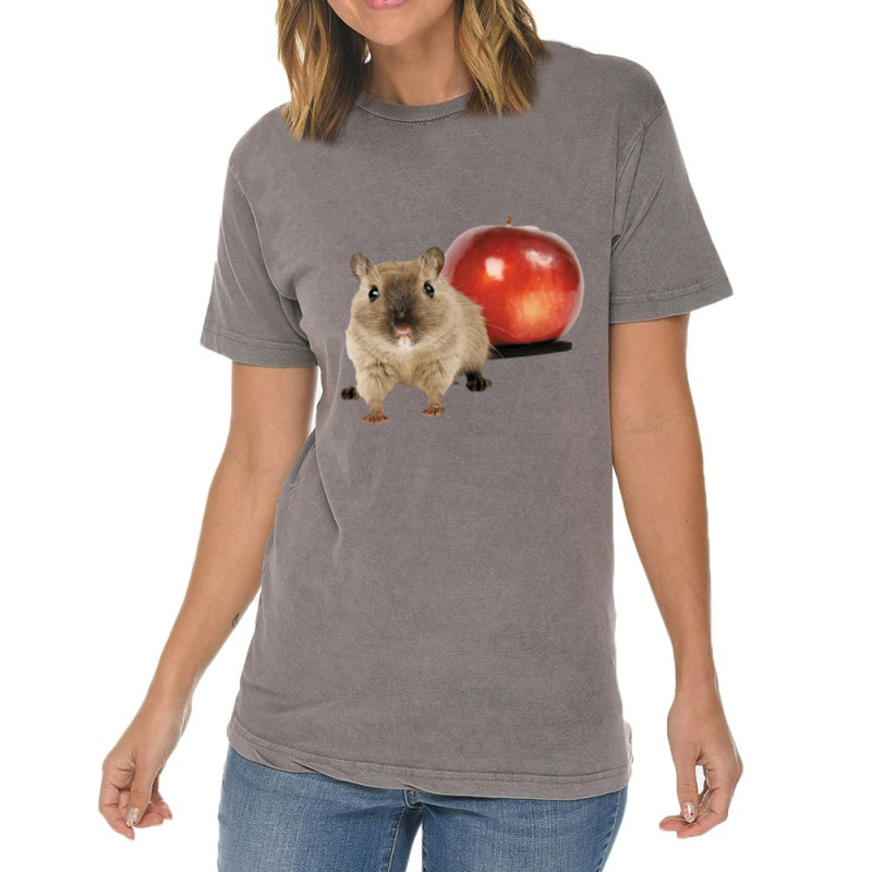 Hamster And Apple Vintage T-shirt | Artistshot