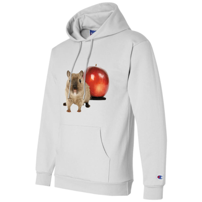 Hamster And Apple Champion Hoodie | Artistshot