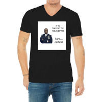 Captain Holt Birthday B99 Poster Tumblr (1) V-neck Tee | Artistshot