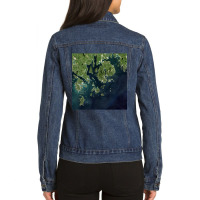 Acadia National Park Mount Desert Island Maine Satellite Image Ladies Denim Jacket | Artistshot