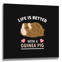 Life T Shirt Life Is Better With A Guinean Pig Metal Print Square | Artistshot