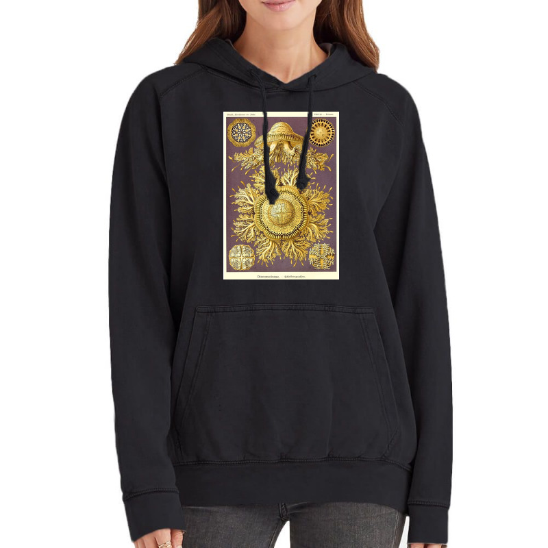 Discomedusae Vintage Hoodie by stevewoodard | Artistshot