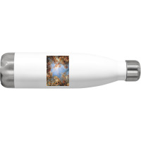 Fresco Of Angels In The Palace Of Versailles Poster Stainless Steel Water Bottle | Artistshot