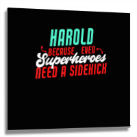 Harold Because Even Superheroes Need A Sidekick Funny Harold T Shirt Metal Print Square | Artistshot