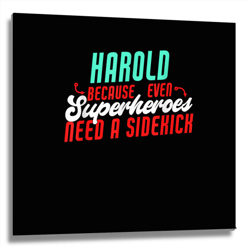 Harold Because Even Superheroes Need A Sidekick Funny Harold T Shirt Metal Print Square by barrydygertkkx | Artistshot