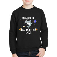 Big Brother 2021 Shark Astronaut Pregancy Announcement Youth Sweatshirt | Artistshot