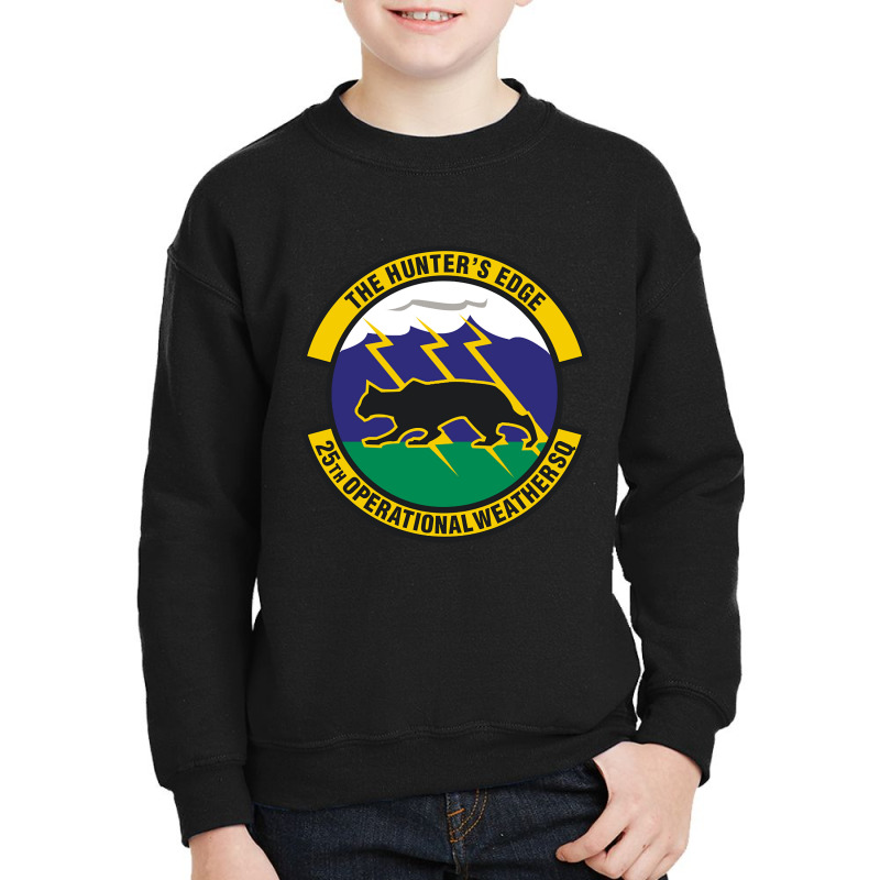 25th Operational Weather Squadron (u.s. Air Force) Youth Sweatshirt by Weasetu1379 | Artistshot