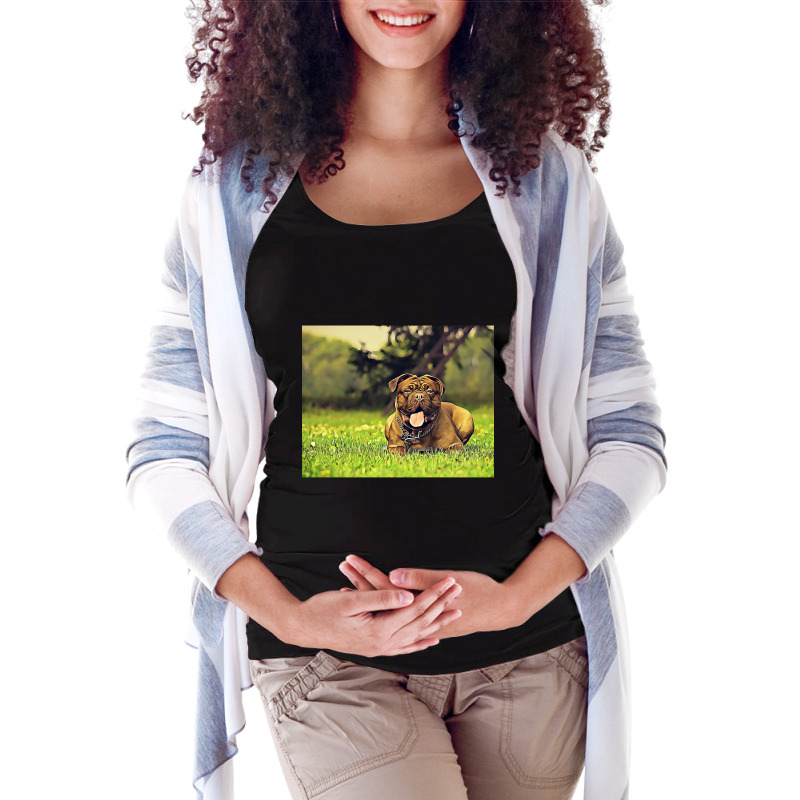 Pitbull Vibrant Painting Maternity Scoop Neck T-shirt by saddestrent378 | Artistshot