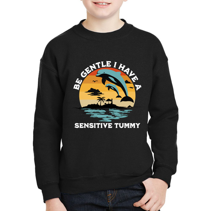 Be Gentle I Have A Sensitive Tummy, Funny Dolphins-wnj1m Youth Sweatshirt by MadonnaDaum45 | Artistshot