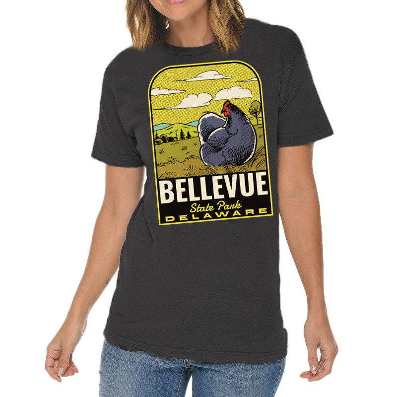 Bellevue State Park De Vintage Travel Vintage T-shirt | Artistshot