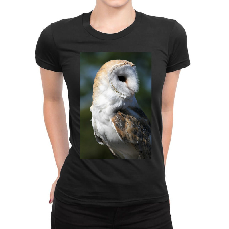 Barn Owl Ladies Fitted T-Shirt by fumbledeafness270 | Artistshot