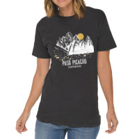 Paso Picacho Campground Shirt Vintage T-shirt | Artistshot