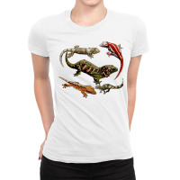 New Caledonian Geckos Ladies Fitted T-shirt | Artistshot