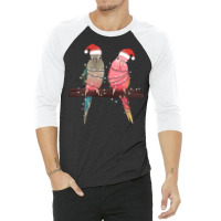 Christmas Parrots 3/4 Sleeve Shirt | Artistshot