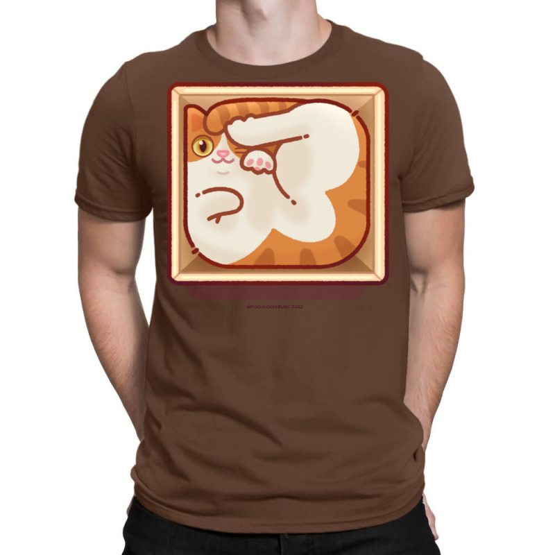 Cat In The Box T-shirt | Artistshot