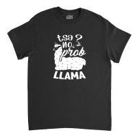 Fsa Test Day No Prob Llama Florida Standardized Testing Day Classic T-shirt | Artistshot