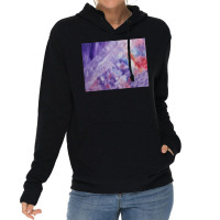 Crystal City Lightweight Hoodie | Artistshot