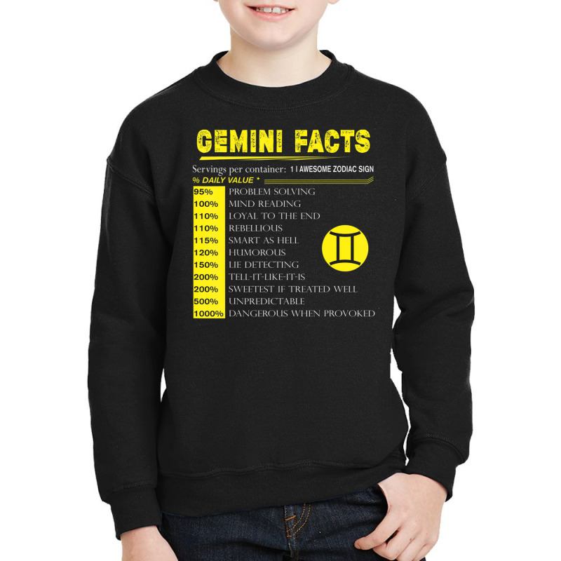 Hot Trend Gemini Facts Zodiac Gemini Birthday Youth Sweatshirt by michaelyounger19 | Artistshot