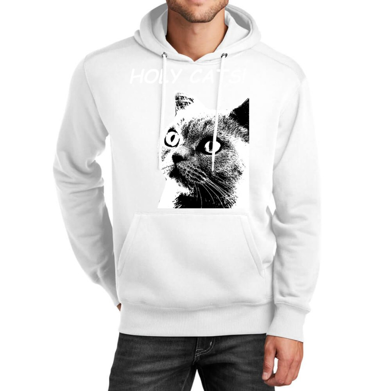 Holy Cats Unisex Hoodie | Artistshot