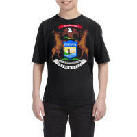 Michigan Flag Coat Of Arms The Wolverine State Lake Pullover Hoodie Youth Tee | Artistshot