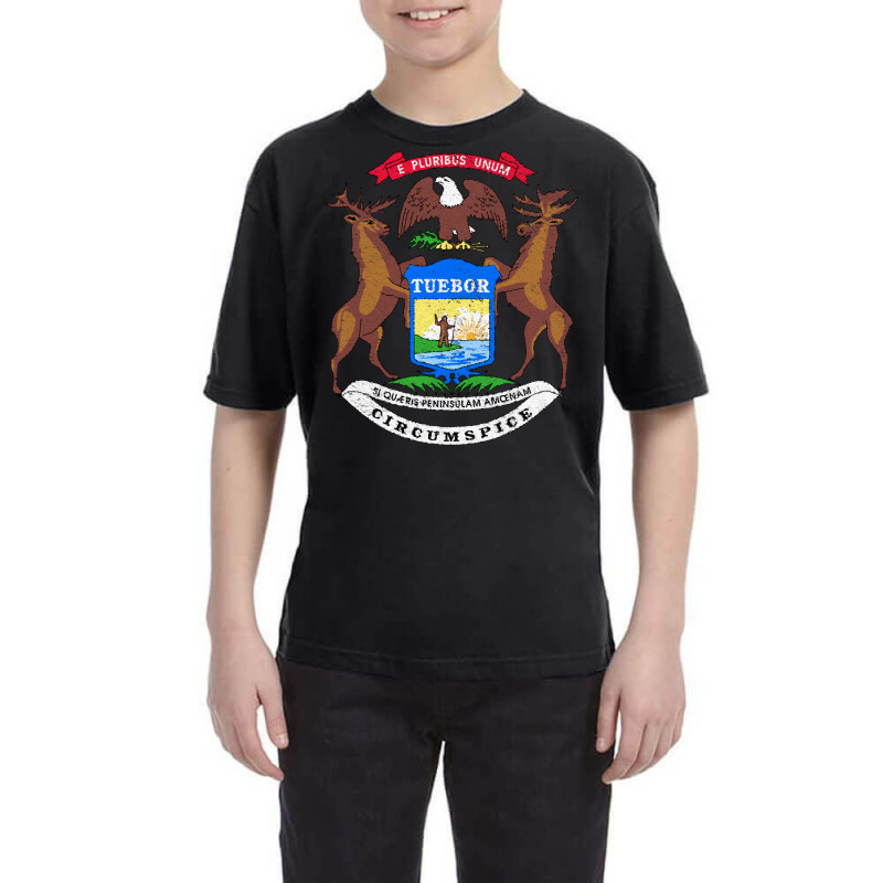 Michigan Flag Coat Of Arms The Wolverine State Lake Pullover Hoodie Youth Tee | Artistshot