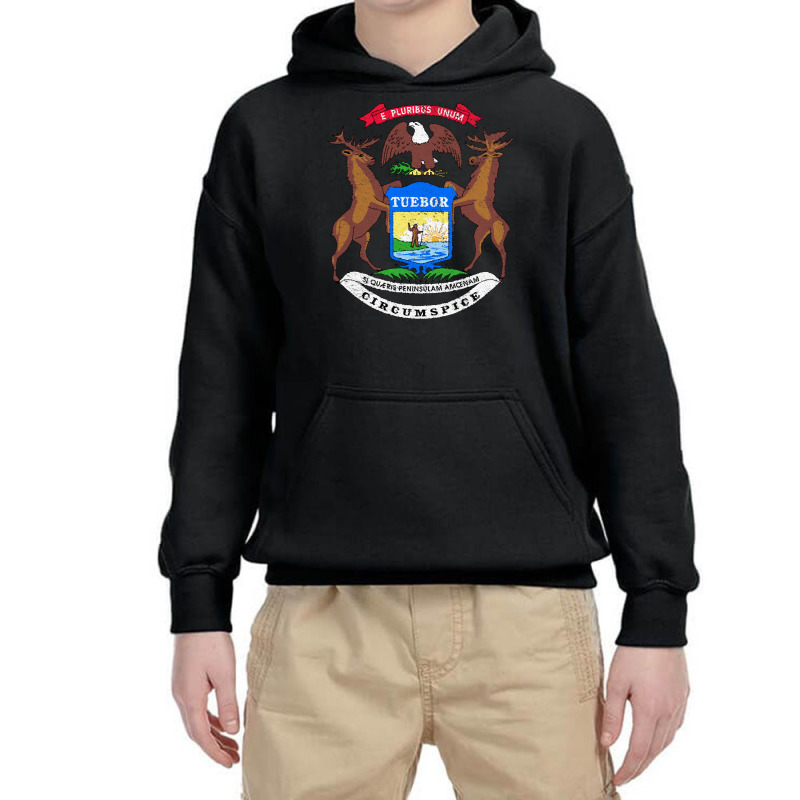 Michigan Flag Coat Of Arms The Wolverine State Lake Pullover Hoodie Youth Hoodie | Artistshot