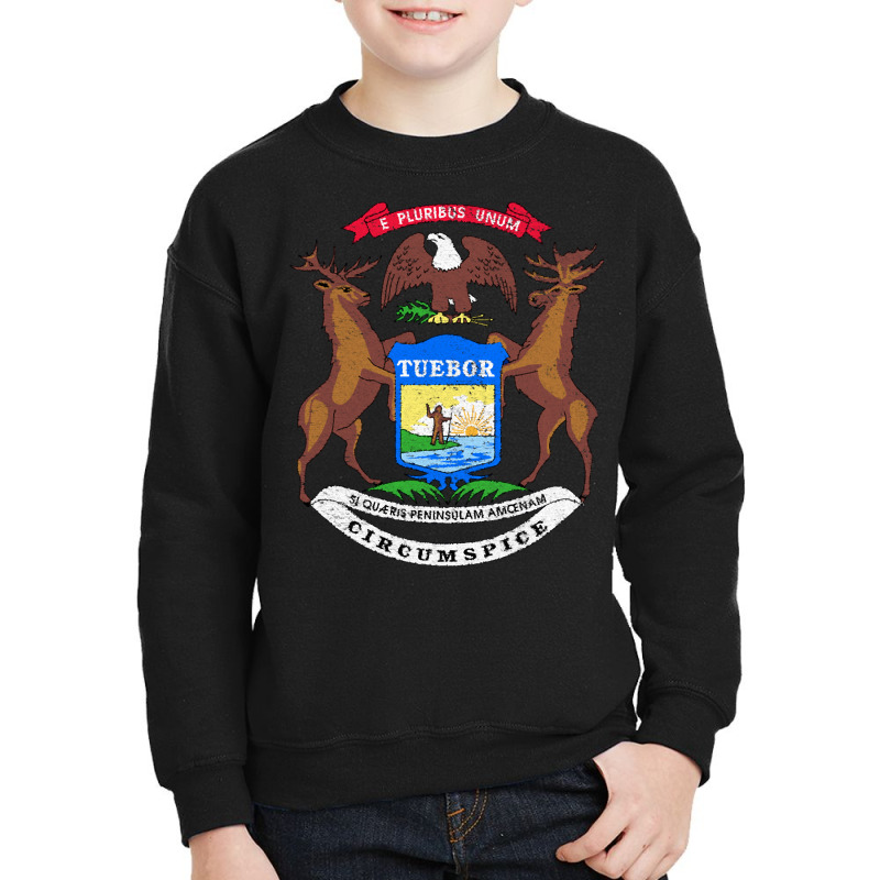 Michigan Flag Coat Of Arms The Wolverine State Lake Pullover Hoodie Youth Sweatshirt | Artistshot