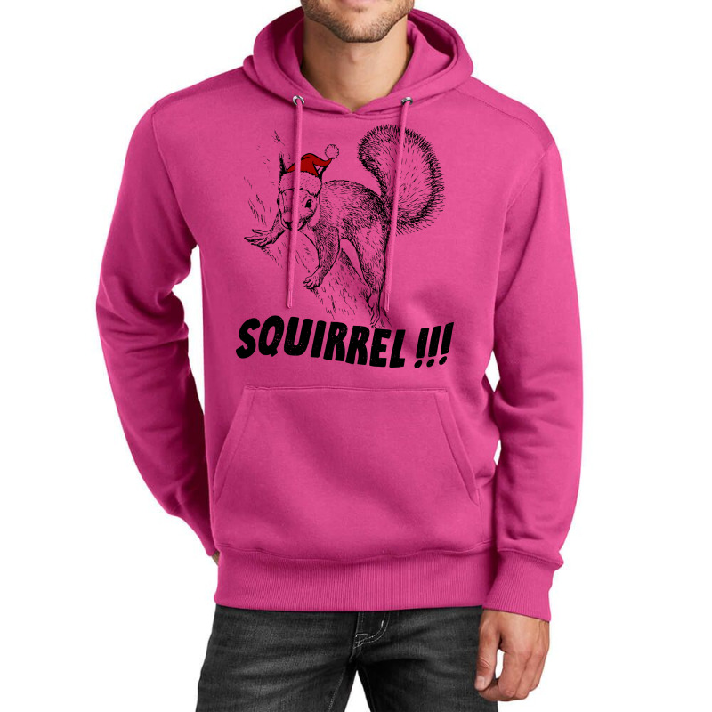 Squirrelllll Aesthetic Unisex Hoodie by inkidimerk | Artistshot