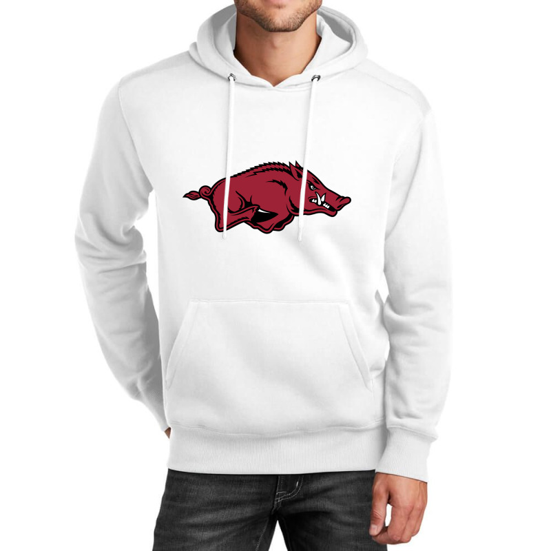 Arkansas Unisex Hoodie by Rewisar | Artistshot