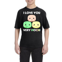 Asian Food Japanese Dish Mochi Dessert Rice Cake Japan Youth Tee | Artistshot