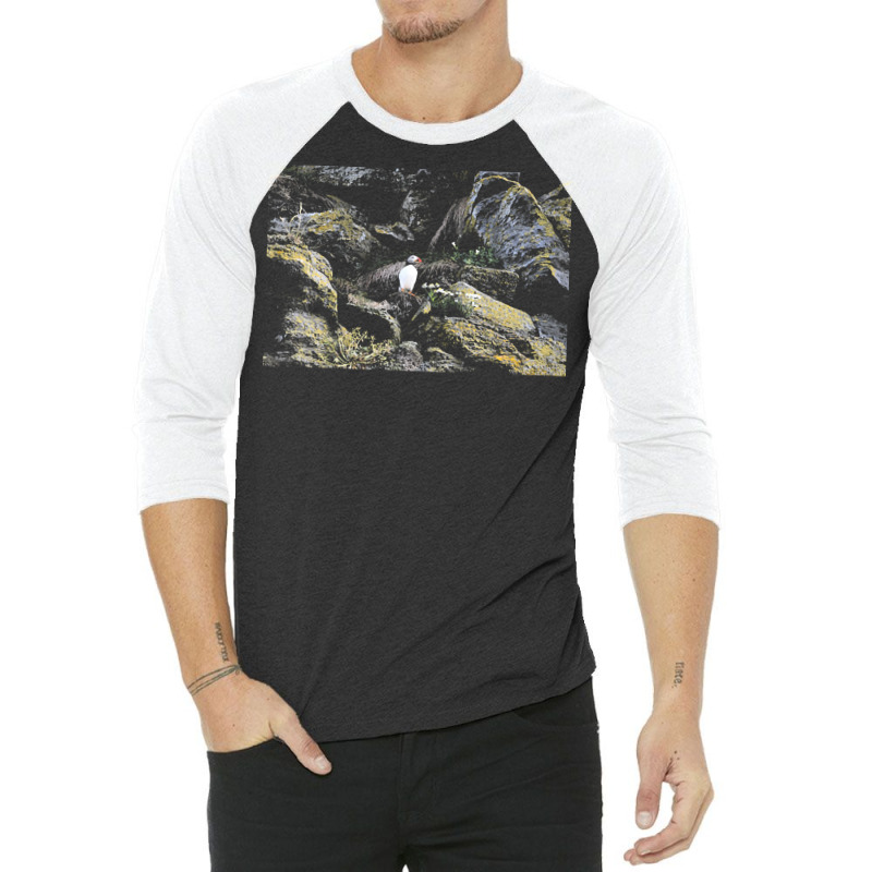 Puffin T  Shirt Puffin T  Shirt 3/4 Sleeve Shirt | Artistshot