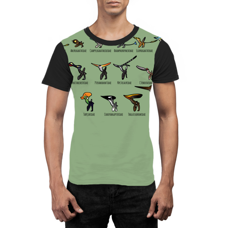 Meet The Pterosaurs Graphic T-shirt | Artistshot