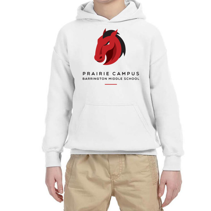 College Barrington High School (rhode Island) Youth Hoodie by TwilaSky | Artistshot