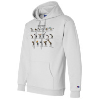 Meet The Pterosaurs Champion Hoodie | Artistshot