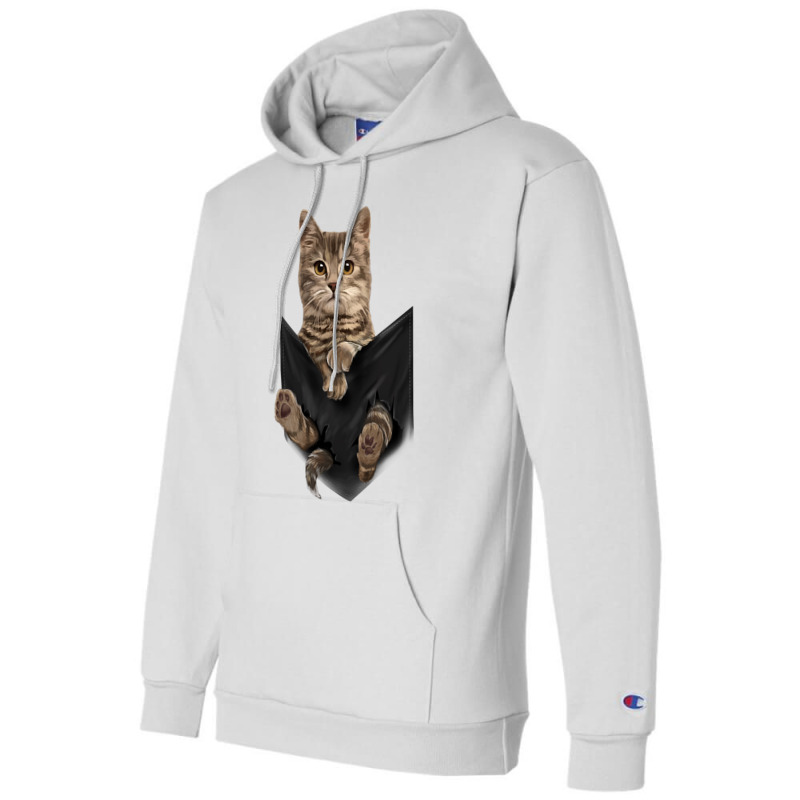 Brown Cat Sits In Pocket  Cats Tee  Gifts Champion Hoodie | Artistshot