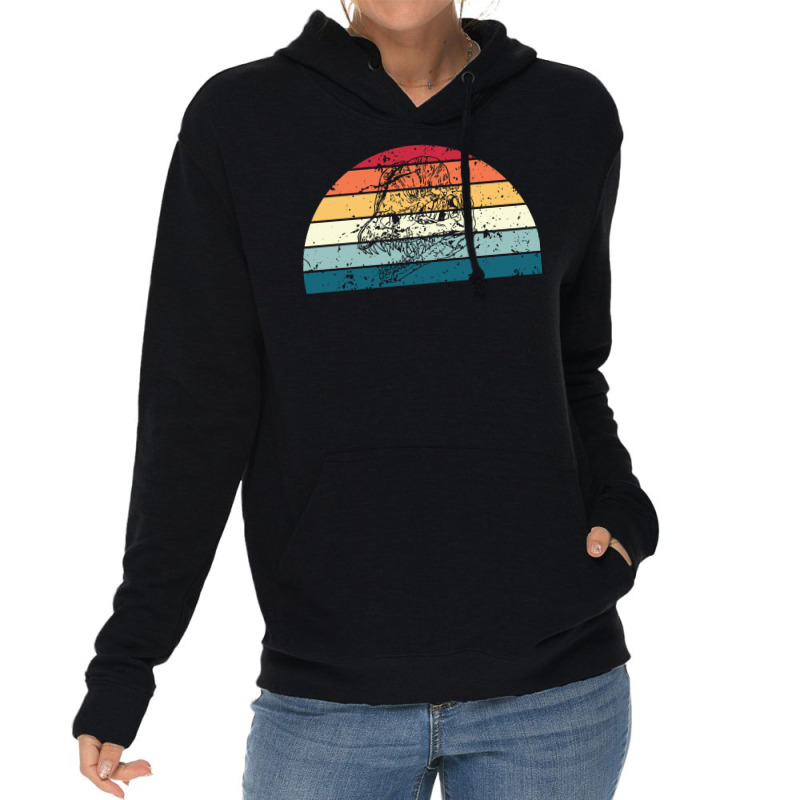 Retro Archeology Sunset Vintage Archaeology Sunrise Tumblr Lightweight Hoodie | Artistshot