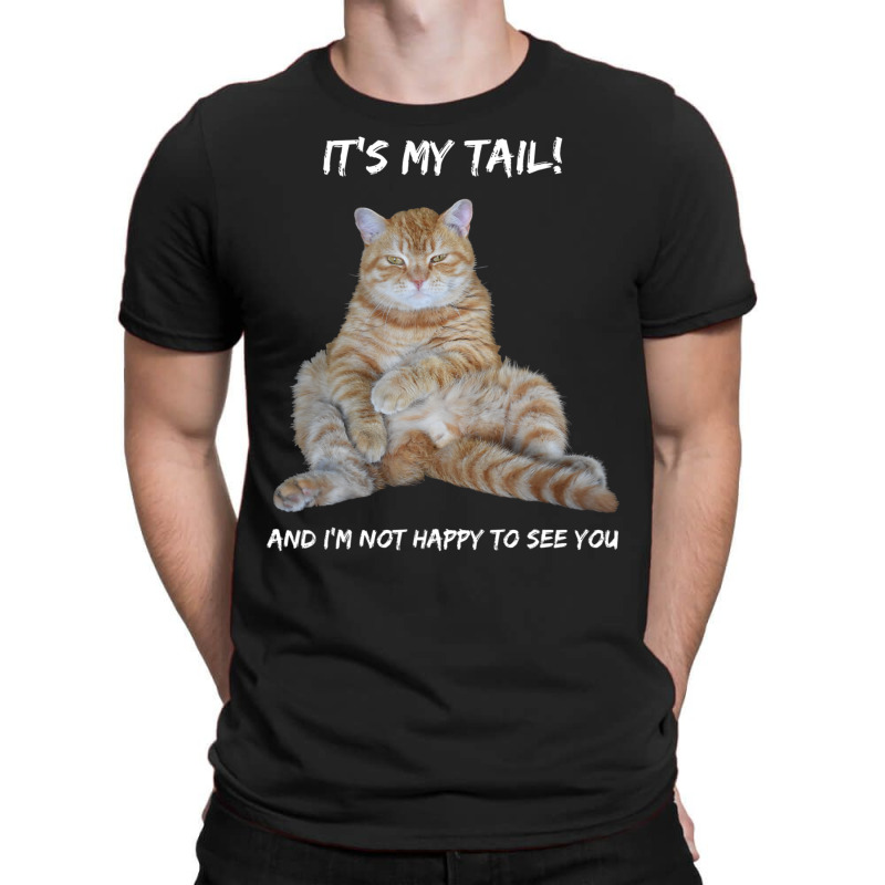 It's My Tail! Tabby Cat Dirty Adult Innuendo Humor T-shirt | Artistshot