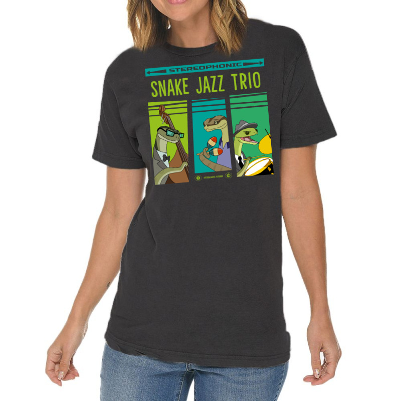 Snake Jazz Trio Vinyl Vintage T-Shirt by zogoehawan | Artistshot