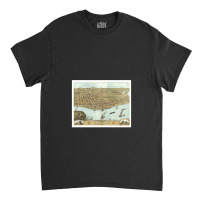 Vintage Map Of Rock Island Il (1869) Classic T-shirt | Artistshot