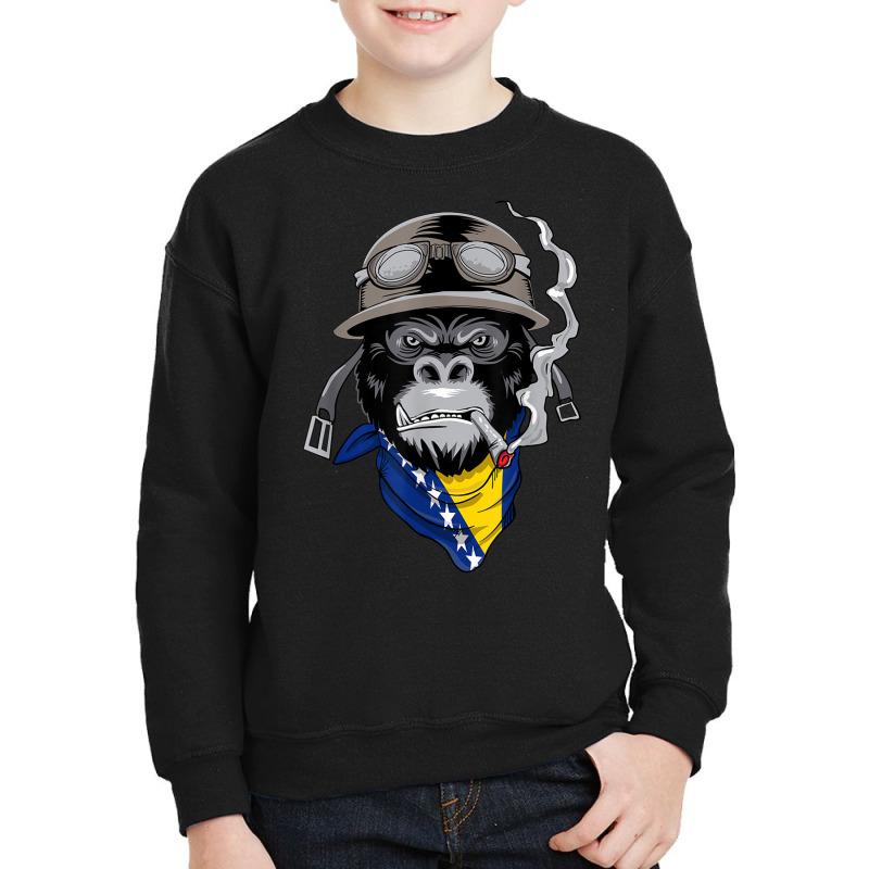 Bosnian And Herzegovinian Flag Biker Bosnia Herzegovina Youth Sweatshirt by VictorMRodriguez | Artistshot