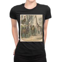 Vintage Art Of Ancient Animals Giraffe Brown Camels Retro Encyclopedia Ladies Fitted T-shirt | Artistshot