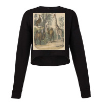 Vintage Art Of Ancient Animals Giraffe Brown Camels Retro Encyclopedia Cropped Sweater | Artistshot