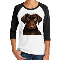 Jewish Chocolate Lab  Dog Chanukah Gift Funny Hanukkah Youth 3/4 Sleeve | Artistshot