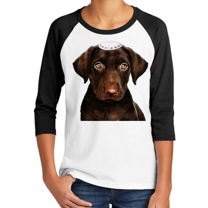 Jewish Chocolate Lab  Dog Chanukah Gift Funny Hanukkah Youth 3/4 Sleeve | Artistshot