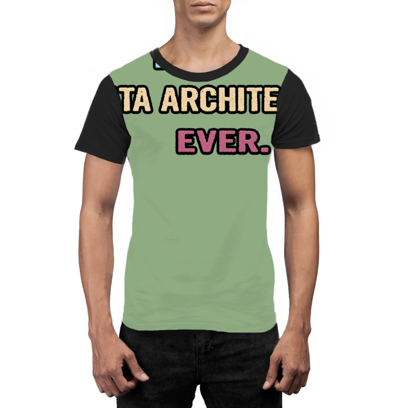 Best Data Architect Ever Nice Gift Idea Graphic T-shirt | Artistshot