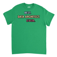 Best Data Architect Ever Nice Gift Idea Classic T-shirt | Artistshot